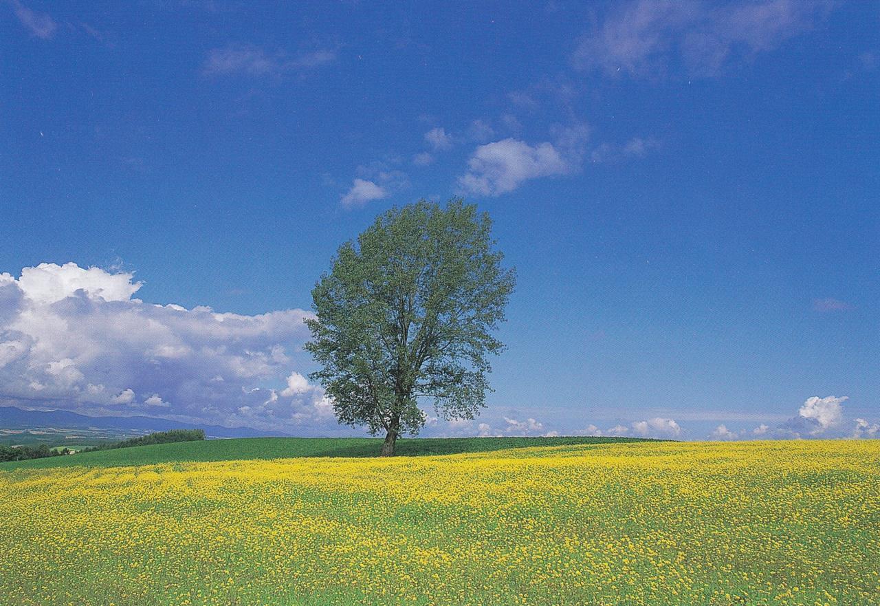 Furano La Terre Hotel Nakafurano Bagian luar foto